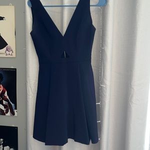 Alice and olivia dress